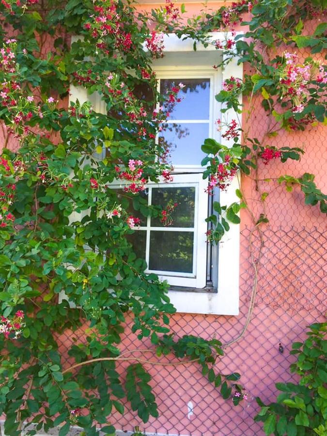 Lei Mi Er Hua Yuan Min Su Apartment Pinghe Exterior foto