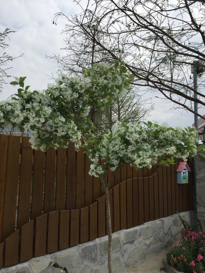 Lei Mi Er Hua Yuan Min Su Apartment Pinghe Exterior foto